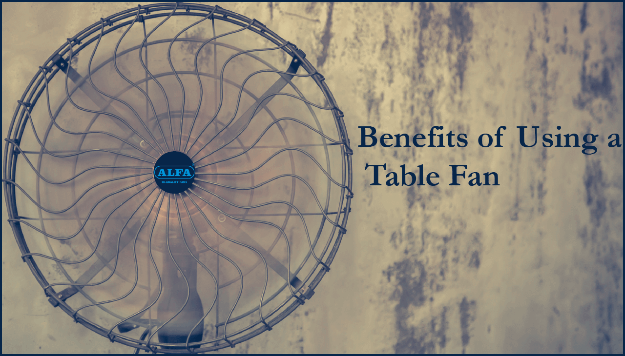 Table-Fan | Domestic-Fans | Domestic-Fan-Manufacturer | Fans |
                                    