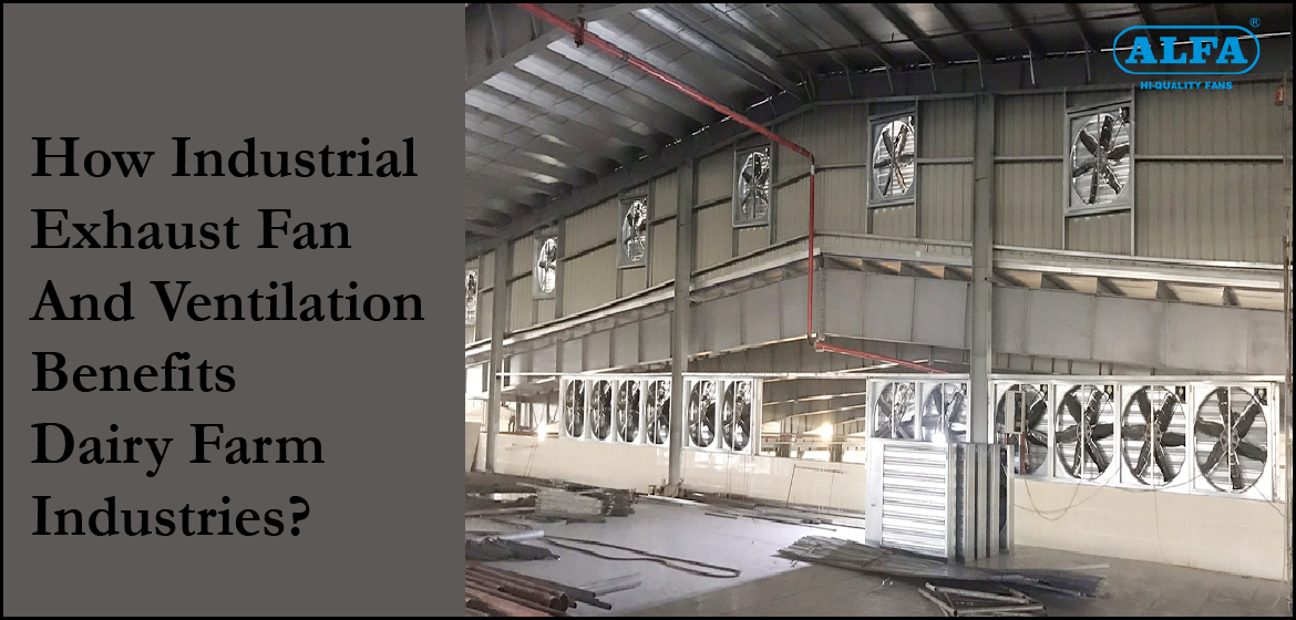 Industrial-Exhaust-Fan | Industrial-Fans-Manufacturer
                                    