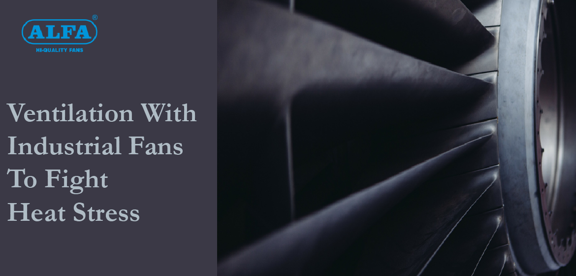 Ventilation-Systems-Using-Industrial-Fans

                                    