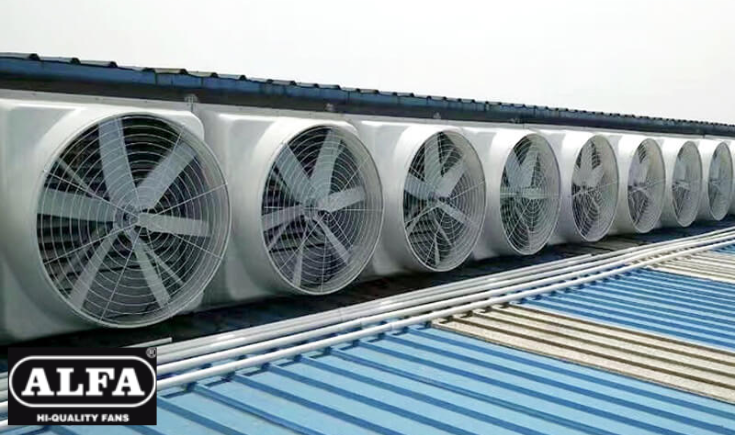 Top Industrial Fan Providers In India